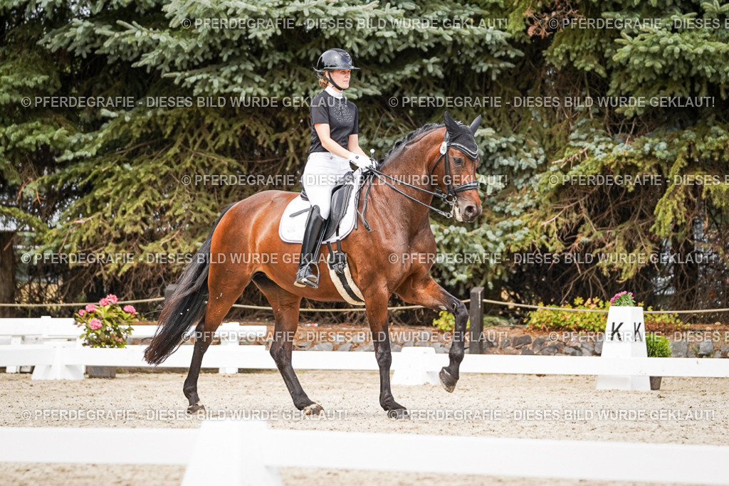 DSC06064 | Pferdegrafie