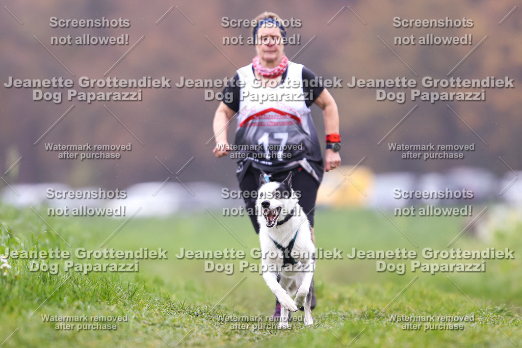 Dog Paparazzi - Visbeck 25 -823 | Dog Paparazzi Jeanette Grottendiek Fotografie & Videografie - Realisiert mit Pictrs.com