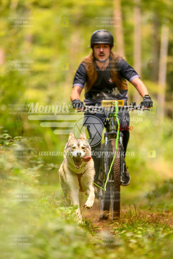 MompixPhotography_Yens2025_B2-117 | PayLife
