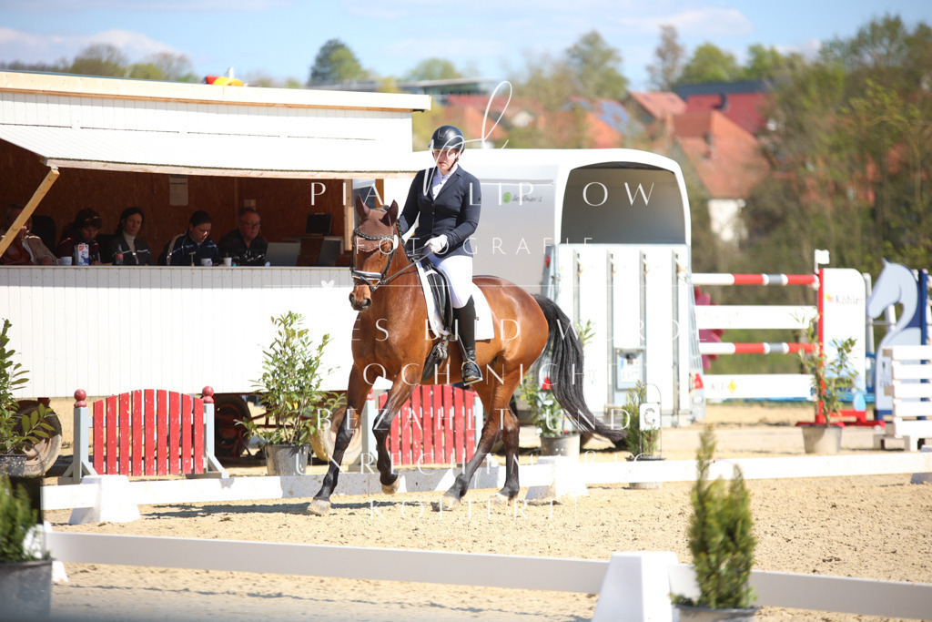 IMGT8001 | pl-fotografie