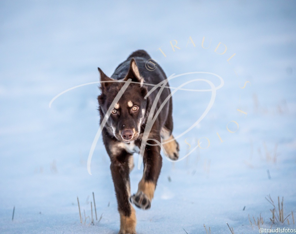 9B26FDF7-283A-464A-8FD2-6DBCEE7CECCB | traudl_s_fotos