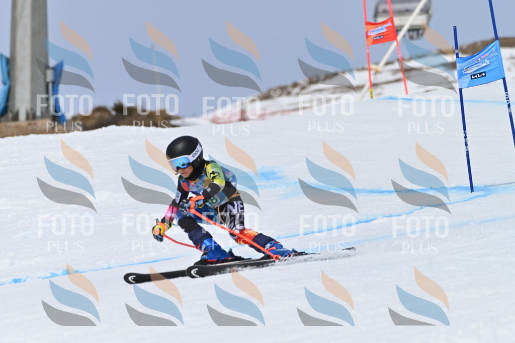 BGV_4713 | holidayphoto