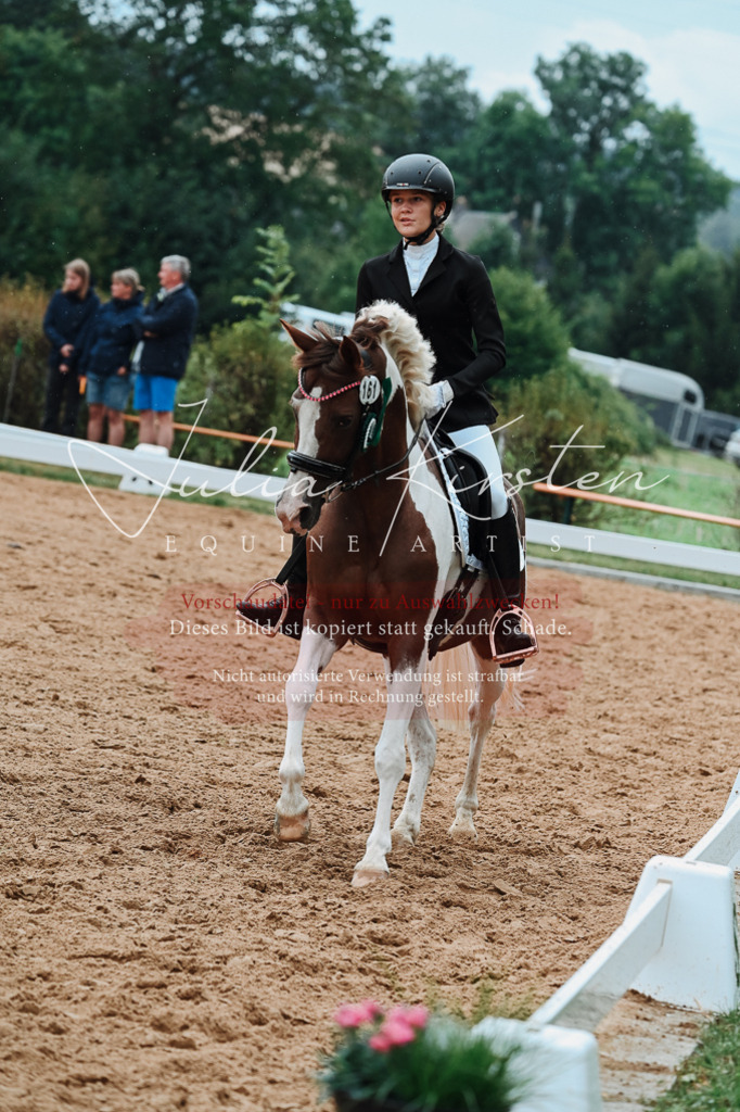 DSC_7302 | Pferde- und Turnierfotografie in Westsachsen. Pferdeportraits, Auftragszeichnungen und intuitive Kunst.