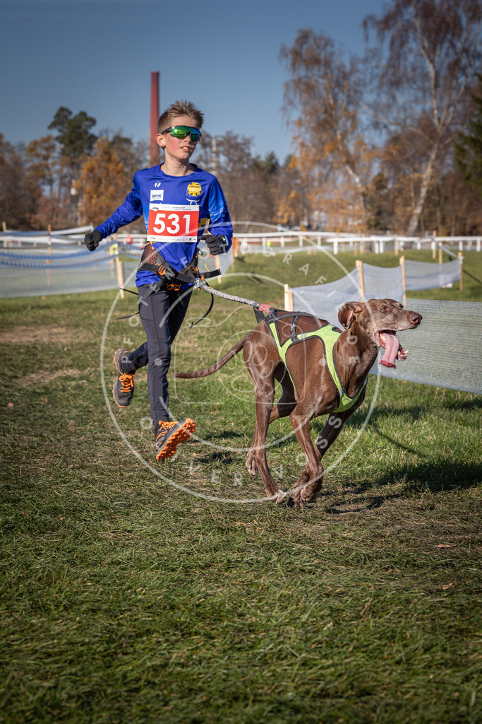CaniXpix_0L8A7392 | Hundefotografie, Tierfotograf, Pfotenfotografie, Fotoshooting Hund, Hunde Portrait, Hundesport, Hundeportraits, Heideshooting, Hunde, Sportfotograf, Hundefotograf, Turnierhundsport, THS,  - Realisiert mit Pictrs.com