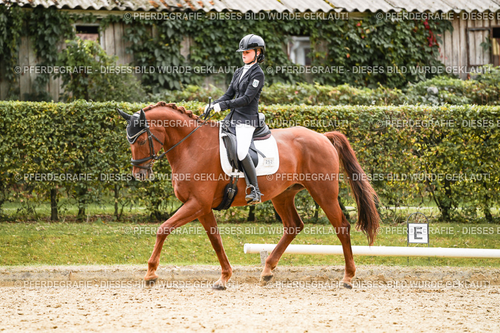 DSC01815 | Pferdegrafie