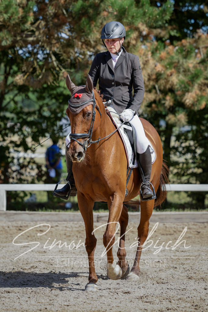 20250906-_3LI4847 | Tierfotografie Pferde, Hunde, Katzen, Haustiere.
Turnierfotografie Reitturniere, Reiten, Springreiten, Dressur in Hanau, dem Main-Kinzig-Kreis und dem Rhein-Main- Gebiet um Frankfurt