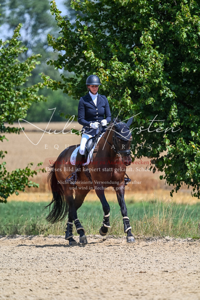 DSC_2696 | Pferde- und Turnierfotografie in Westsachsen. Pferdeportraits, Auftragszeichnungen und intuitive Kunst.