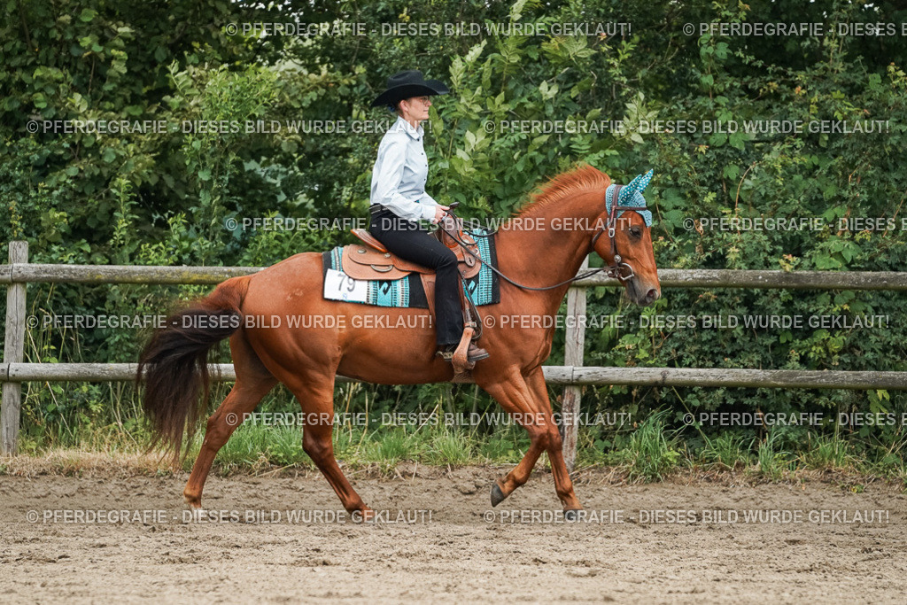 DSC03829 | Pferdegrafie