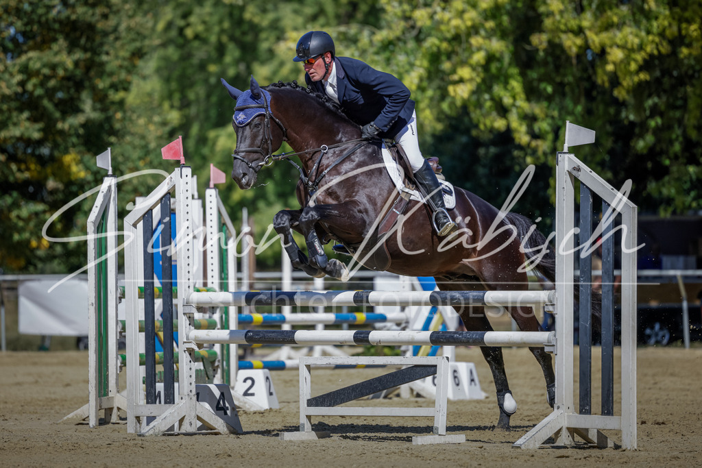 20250906-_3LI3945 | Tierfotografie Pferde, Hunde, Katzen, Haustiere.
Turnierfotografie Reitturniere, Reiten, Springreiten, Dressur in Hanau, dem Main-Kinzig-Kreis und dem Rhein-Main- Gebiet um Frankfurt