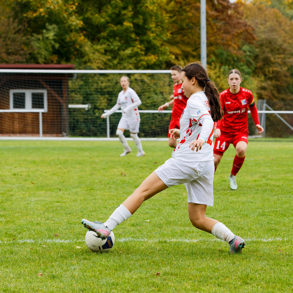 FCEFCH_251012_1812 | Fotopresso – Sportfotografie in Heidenheim & Umgebung. Professionelle Sportfotografie für unvergessliche Momente. Dynamische Action-Shots, emotionale Szenen & hochwertige Bilder. - Realisiert mit Pictrs.com
