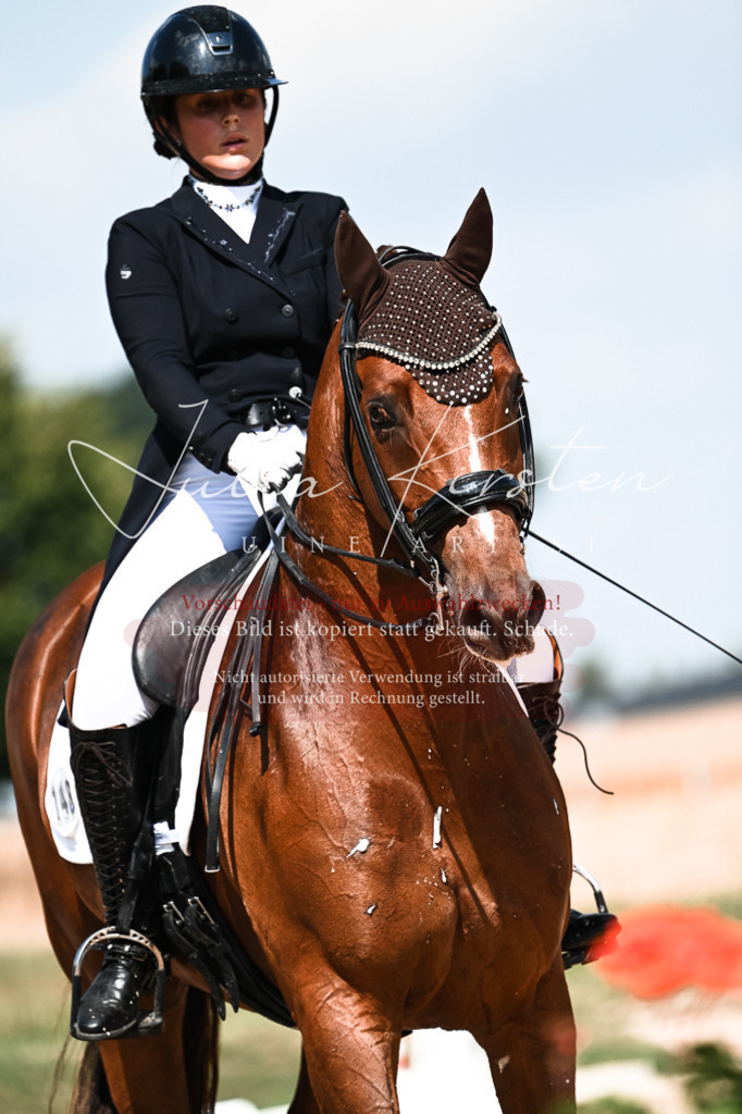 DSC_2858 | Pferde- und Turnierfotografie in Westsachsen. Pferdeportraits, Auftragszeichnungen und intuitive Kunst.
