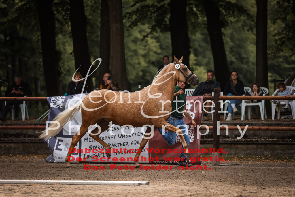 8.So00063 | Leoni Ertmer Photography - Realisiert mit Pictrs.com