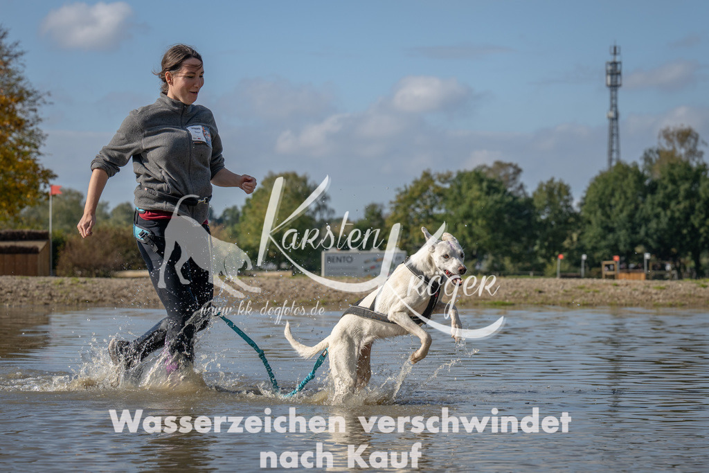 1303_ZZ94610 | kk-dogfotos