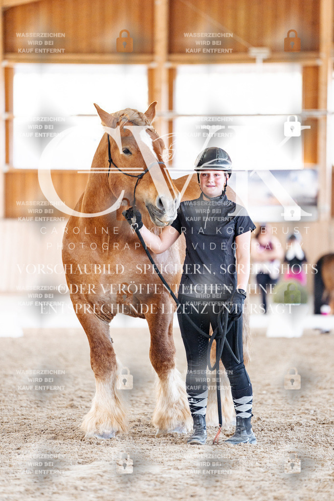 CK907296 | Turnierfotografie Pferdefotografie Trier Rheinland-Pfalz Pferdesport Reitsport Tierfotografie Sportfotografie Pferdevideo Pferdevideografie Equestrianvideography equestrianphotography  - Realisiert mit Pictrs.com