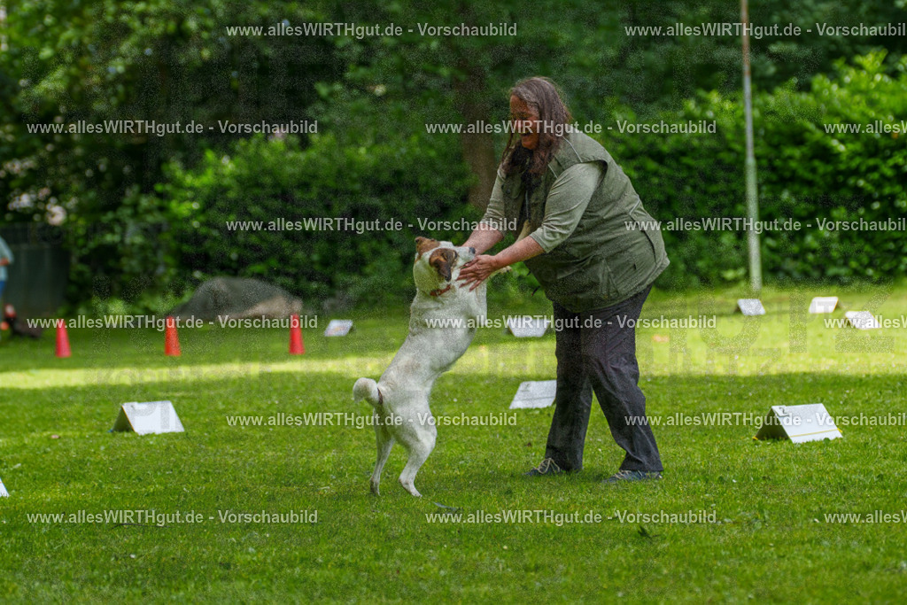 @allesWIRTHgut_Tierfotografie - www.allesWIRTHgut.de - 7R504394 | Professionelle Tierfotografie in Mönchengladbach von Daniel Wirth (allesWIRTHgut). Liebevolle & natürliche Bilder von Hunden & Katzen für unvergessliche Erinnerungen.