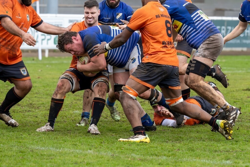 Rugby Bundesliga, Saison 2025/26, 10. Spieltag: RG Heidelberg gegen Germania List | Rugby Bundesliga, Saison 2025/26, 10. Spieltag: RG Heidelberg gegen Germania List - Realisiert mit Pictrs.com