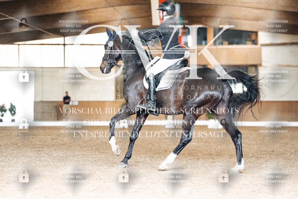 CK901878 | Turnierfotografie Pferdefotografie Trier Rheinland-Pfalz Pferdesport Reitsport Tierfotografie Sportfotografie Pferdevideo Pferdevideografie Equestrianvideography equestrianphotography  - Realisiert mit Pictrs.com