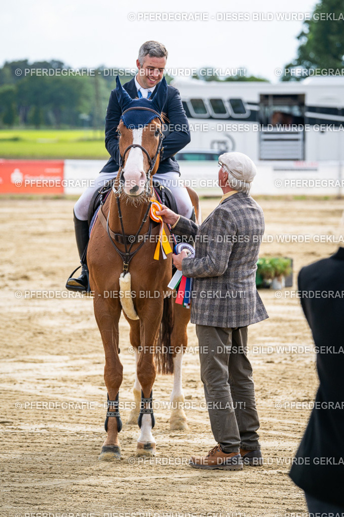 DSC07438 | Pferdegrafie