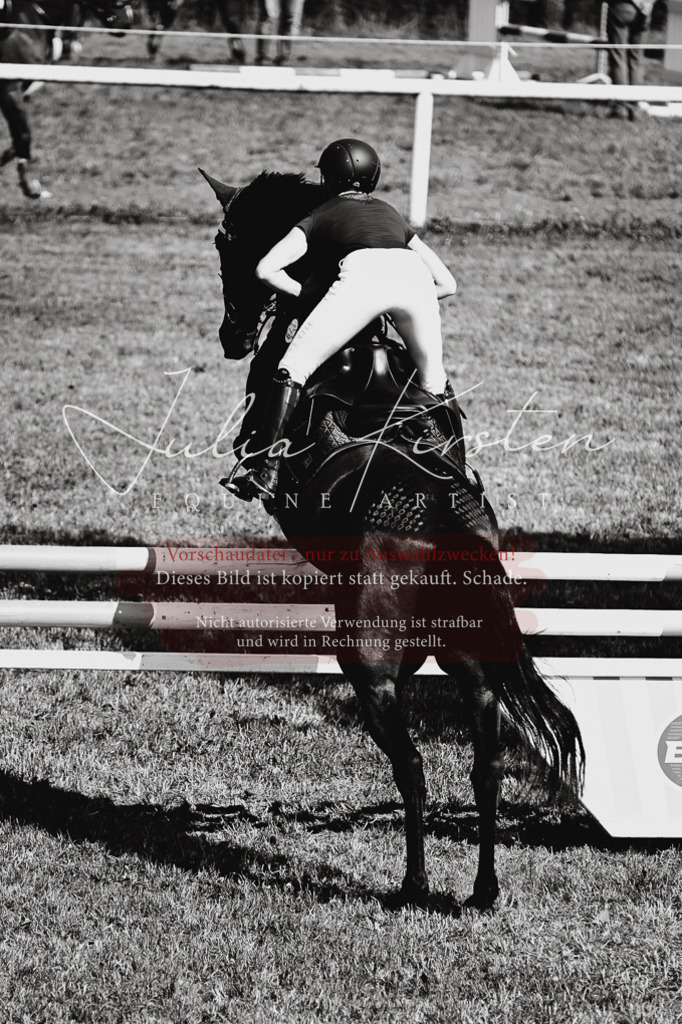 DSC_1844 | Pferde- und Turnierfotografie in Westsachsen. Pferdeportraits, Auftragszeichnungen und intuitive Kunst.