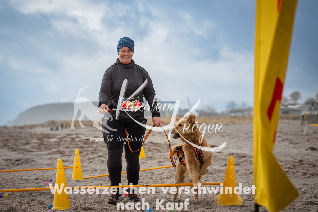 1207_ZZ94178 | kk-dogfotos