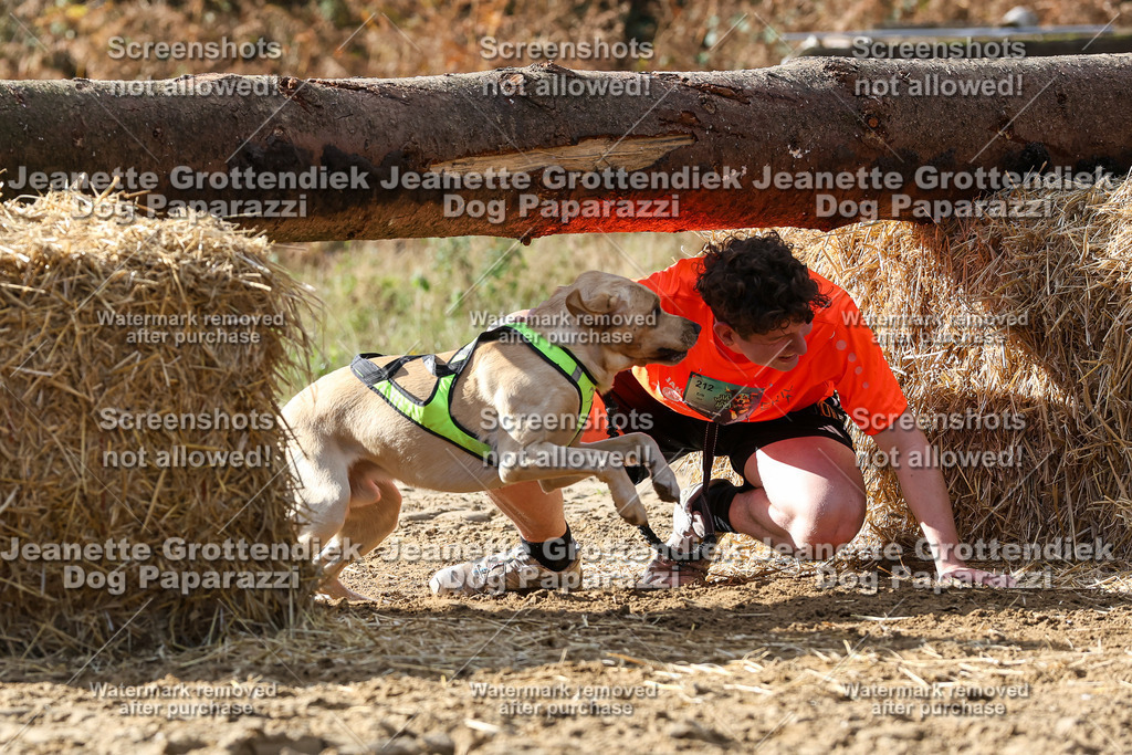 Dog Paparazzi - Strongdog 10-25-5385 | Dog Paparazzi Jeanette Grottendiek Fotografie & Videografie - Realisiert mit Pictrs.com