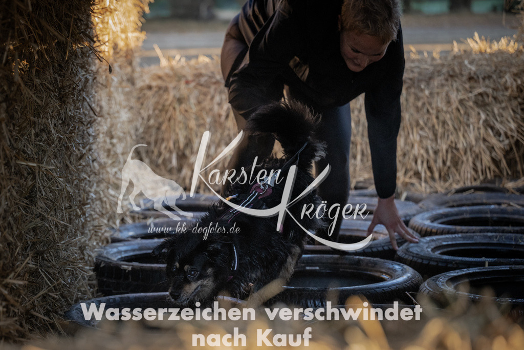 0936_ZZ93827 | kk-dogfotos