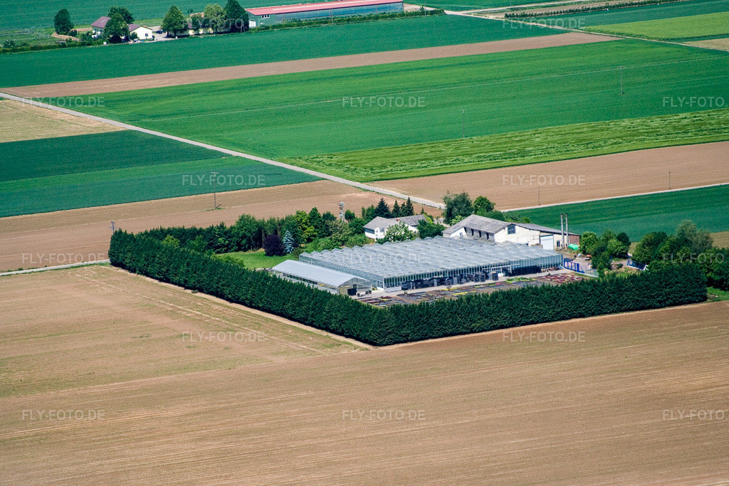 Luftbild: Blättnerhof in Steinweiler im Bundesland Rheinland-Pfalz in Deutschland. Foto: IMG_2114.jpg vom 24.05.2006 durch Werner Riehm/FLY-FOTO.de