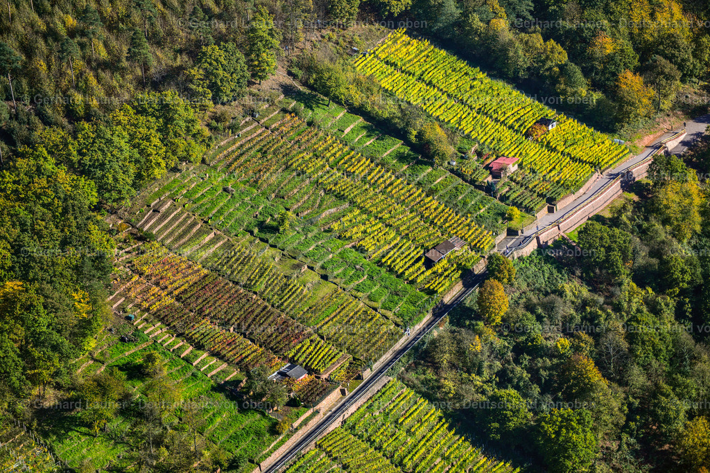 3491159 | Weinberge bei Klingenberg