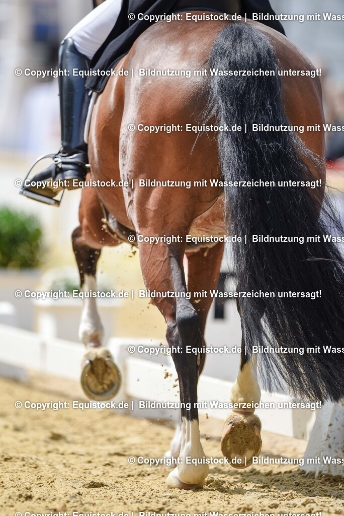 20250607_1_GP-Tour_Dressage_0184 | Foto: Thomas Hartig