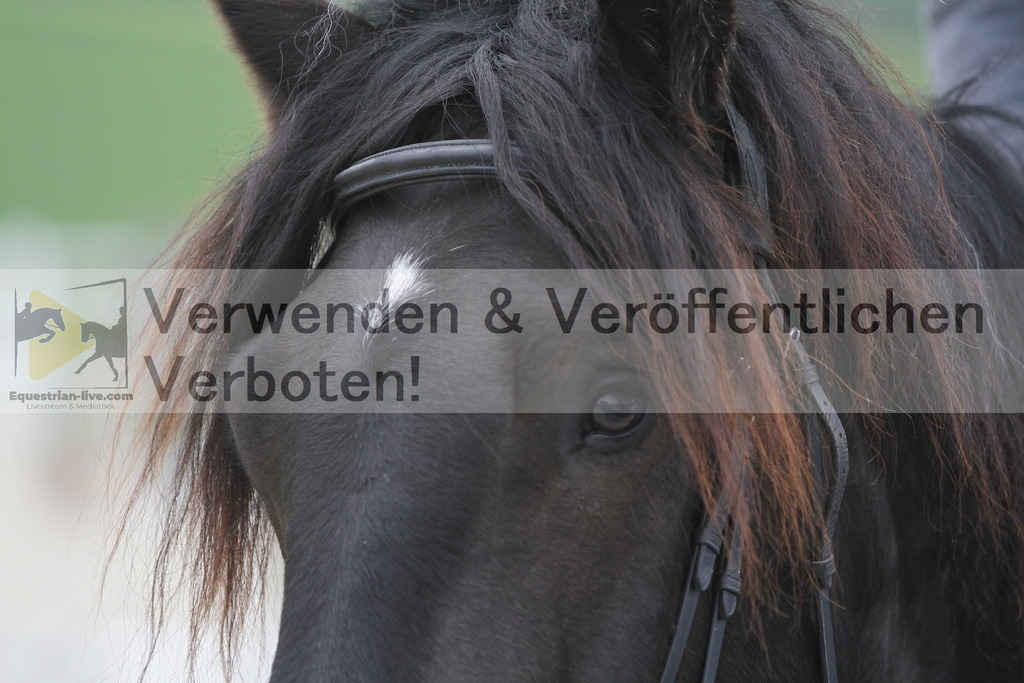 _MG_3666 | equestrian-live-com