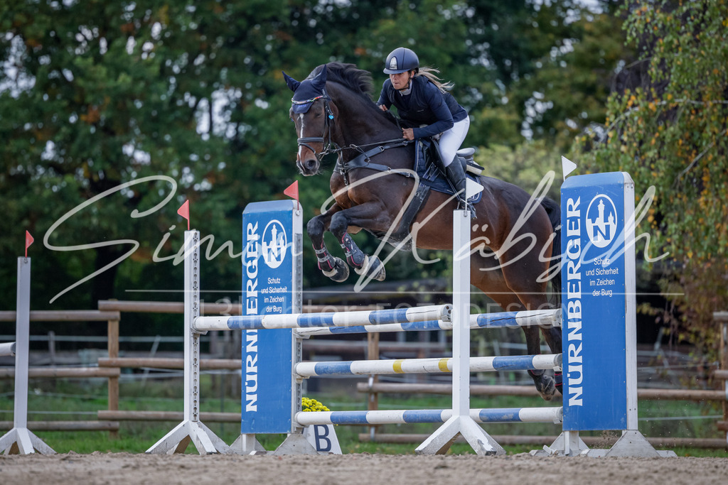 20251012-_3LI5276 | Tierfotografie Pferde, Hunde, Katzen, Haustiere.
Turnierfotografie Reitturniere, Reiten, Springreiten, Dressur in Hanau, dem Main-Kinzig-Kreis und dem Rhein-Main- Gebiet um Frankfurt