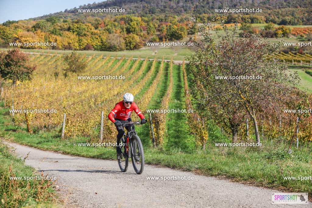 007A5932 | PANNONIA GRAVEL 2025 #pannoniagravel #gravel #offroad #onroad #burgenland #neusiedlersee #nrm #neusiedlerseeradmarathon #yourpictrs #sportshot_your_pictrs @Sportshot Photography www.sportshot.de