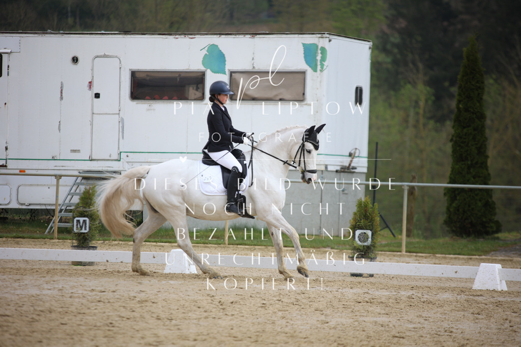 IMGT5464 | pl-fotografie