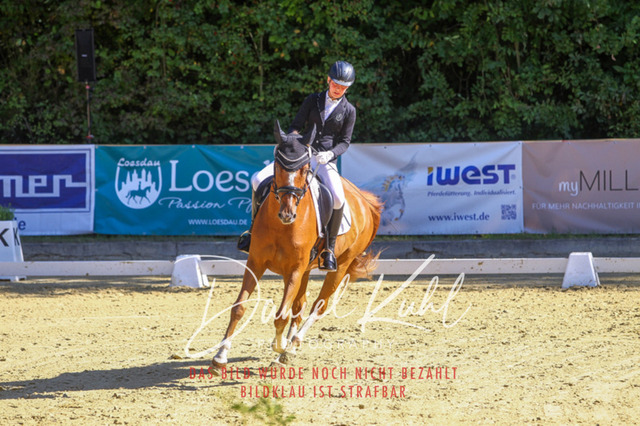 DKP41762 | Turniersportfotografie; Pferdefotografie; Dressurfotografie