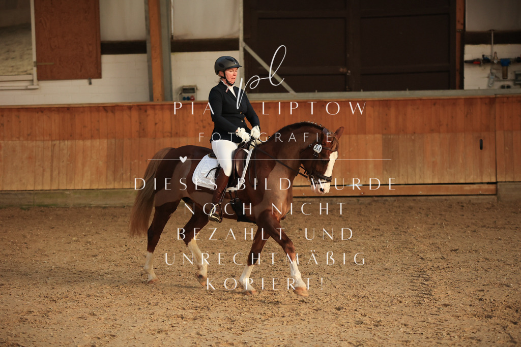 IMGT3391 | pl-fotografie