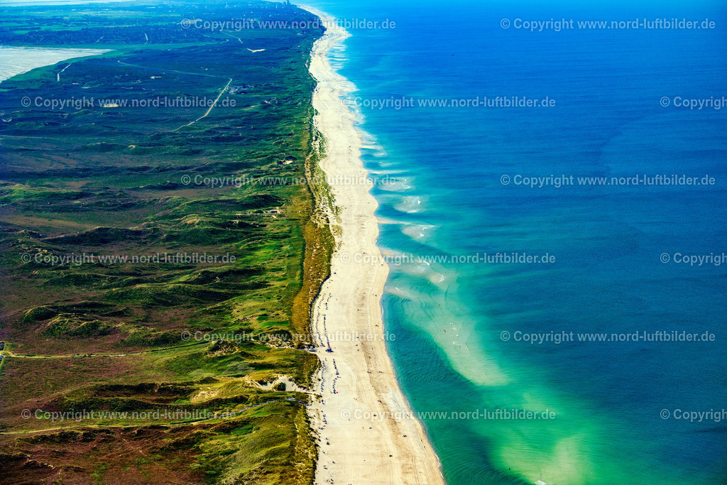 Sylt_List_Strand_bis_Kampen_ELS_3919130825 | LIST 13.08.2025 Sand- Dünen- und Heide- Landschaft Nord- Sylt in List im Bundesland Schleswig-Holstein, Deutschland. Das Gebiet der drei Sylter Wanderdünen zwischen dem Weststrand und dem Ort List steht unter Naturschutz. Die Heidelandschaft und Sanddünen dürfen nur mit Sondergenehmigung betreten werden. // Sand, dune and heath landscape North Sylt in List in the state of Schleswig-Holstein, Germany. Foto: Martin Elsen