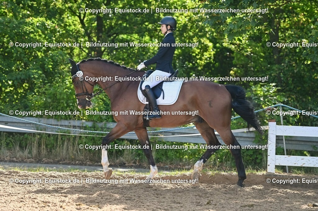 20230716_04_Dressurreiterprüfung Kl.A_0187 | equistock