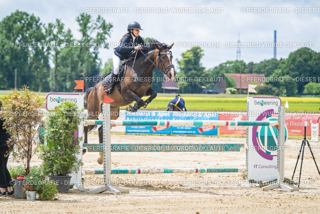 DSC04516 | Pferdegrafie