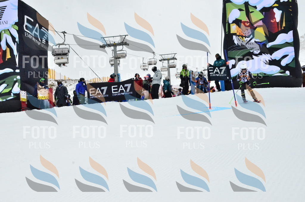 _ELE3372 | holidayphoto