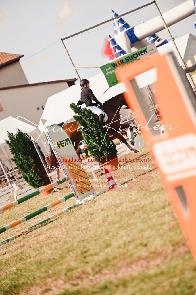 DSC_7341 | Pferde- und Turnierfotografie in Westsachsen. Pferdeportraits, Auftragszeichnungen und intuitive Kunst.