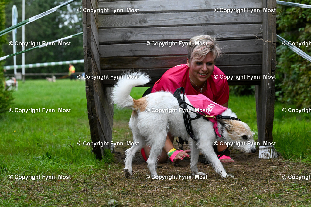 DSC_0501 | Hallo und herzlich Willkommen auf meiner Shop-Seite Fynn Most.

Ich wünsche Dir viel Spaß beim stöbern durch die Bilder, wenn Du Fragen hast oder Bilder vermisst, kannst du mir gerne eine Nachricht schreiben. - Realisiert mit Pictrs.com