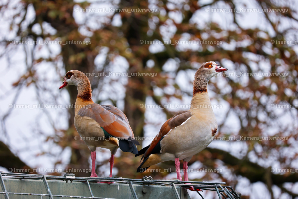 PSX_4459 | immer_mit_kamera_unterwegs