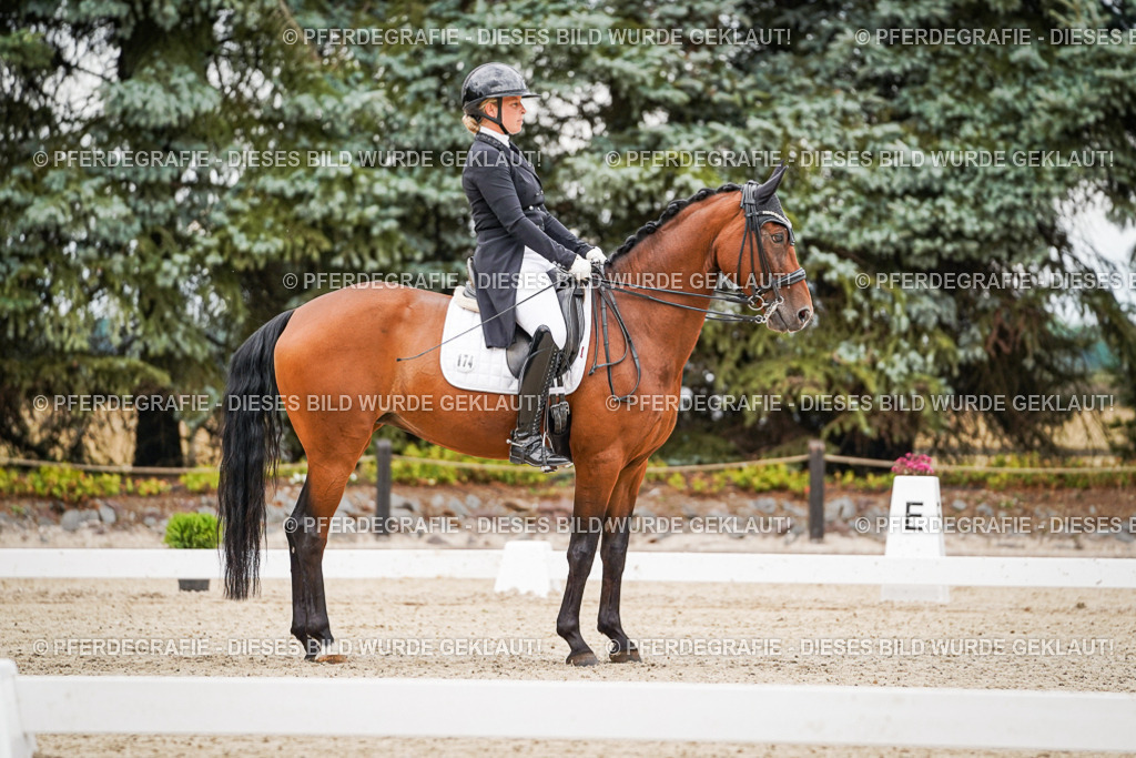 DSC07188 | Pferdegrafie