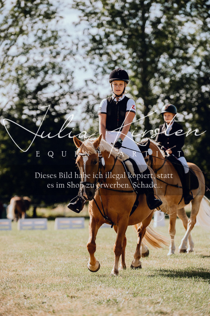 DSC_7054 | Pferde- und Turnierfotografie in Westsachsen. Pferdeportraits, Auftragszeichnungen und intuitive Kunst.