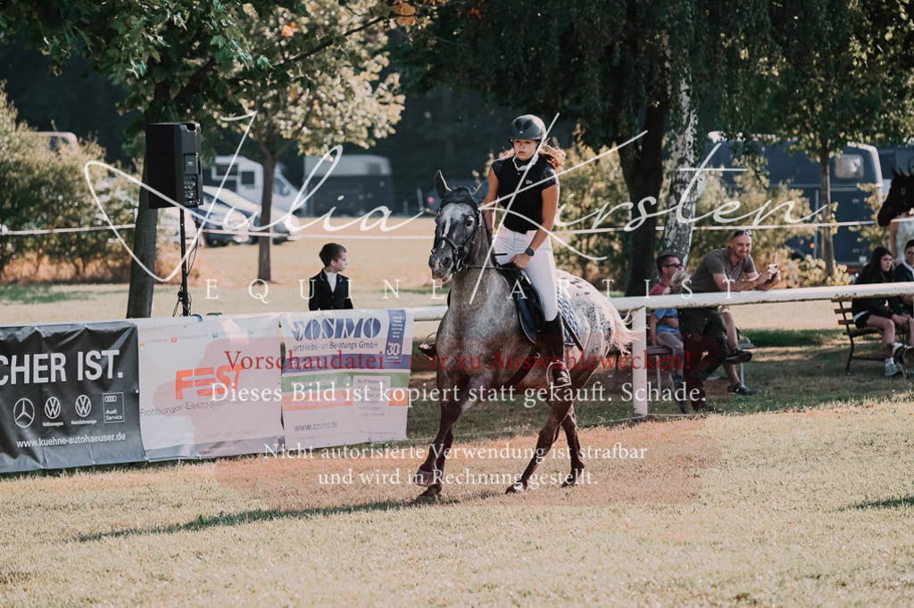 DSC_4488 | Pferde- und Turnierfotografie in Westsachsen. Pferdeportraits, Auftragszeichnungen und intuitive Kunst.