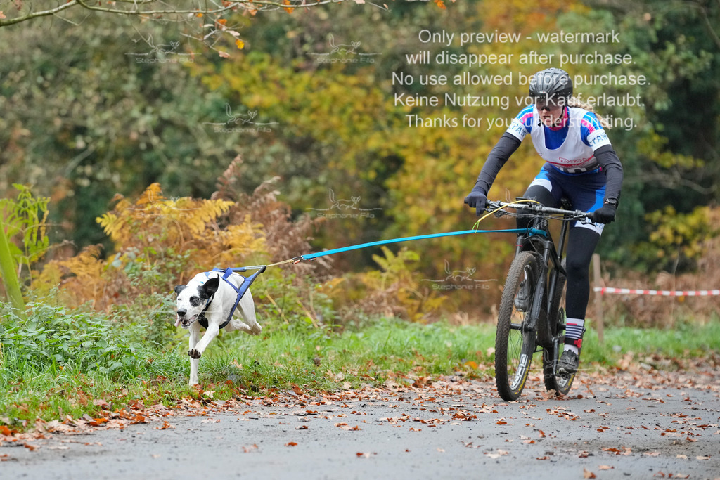 Bike_So-54 | stephaniefillaphotographie - Realisiert mit Pictrs.com