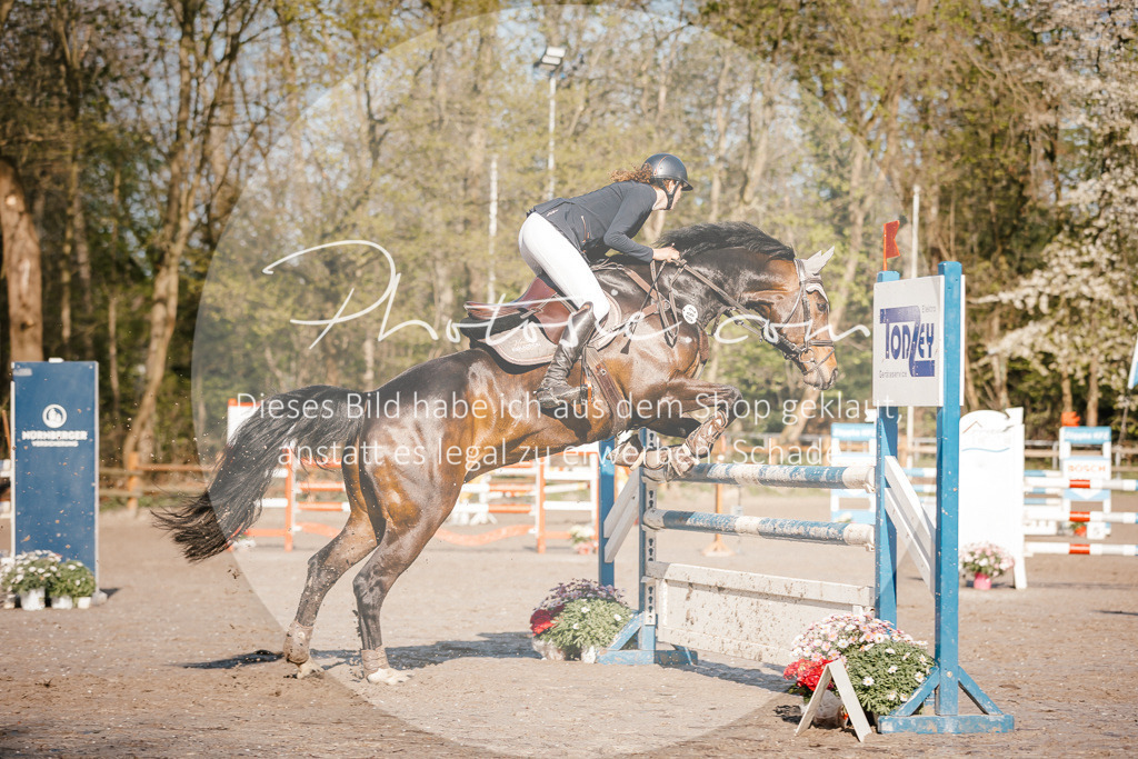 3I6A3549 | Stimmungsvolle Portraits und Reitsportfotografie im Ruhrgebiet und im Münsterland.

Pferdefotografie, Hundefotografie, Tierfotografie, Reportagen, Portraits von Tier und Mensch, Turnierfotografie in Bochum, Recklinghausen, Marl, Haltern am See, Dülmen.. - Realisiert mit Pictrs.com