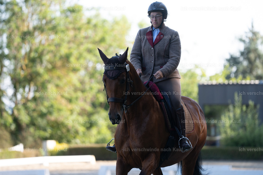 WL_DR_140_sinafilmart_IN05755 | working equitationturnier fotograf videograf stoibphotography marixx film working equitation deutschland reitsport turnierfotografie eventfotografie equestrian events