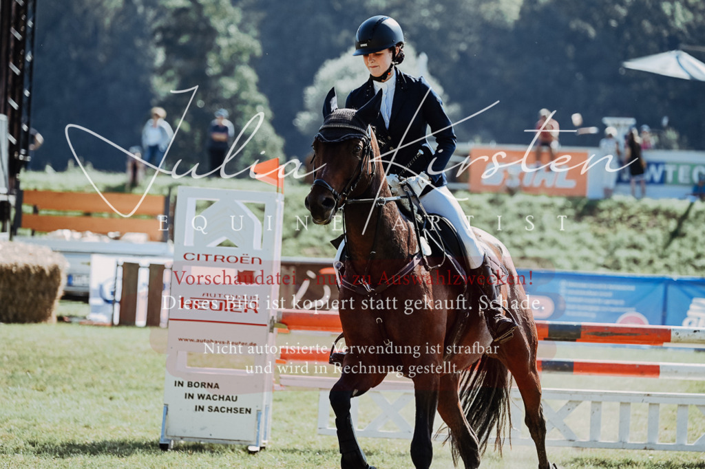 DSC_5871 | Pferde- und Turnierfotografie in Westsachsen. Pferdeportraits, Auftragszeichnungen und intuitive Kunst.