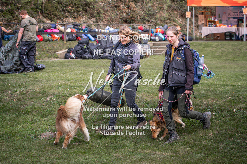 6Z1A1603 | nelerasche
